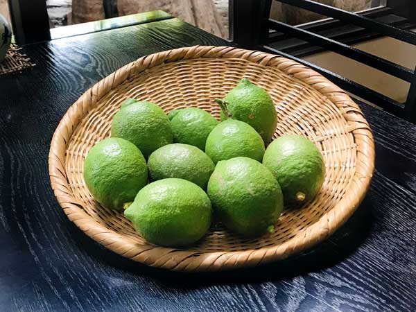 レモンの収穫開始 松崎レモンが入荷しました フランボワーズ