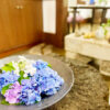 紫陽花が見頃です