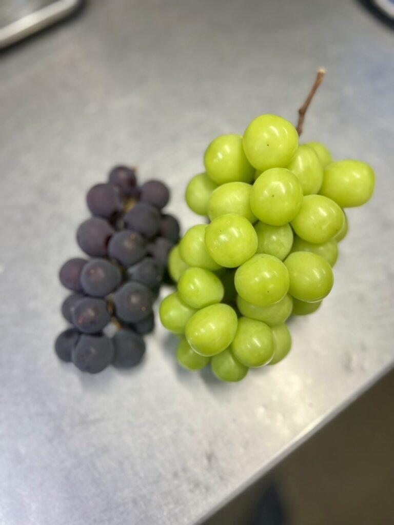 シャインマスカットと巨峰も良い感じです