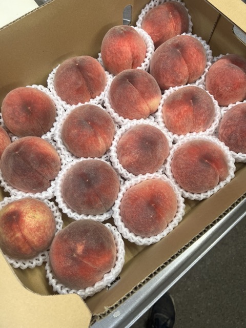 美味しそうな桃