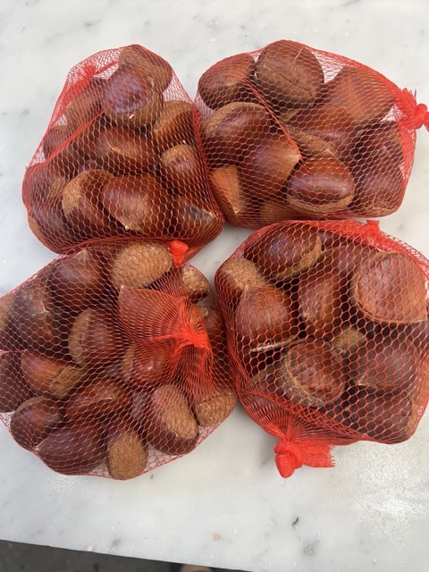 伊豆産の栗