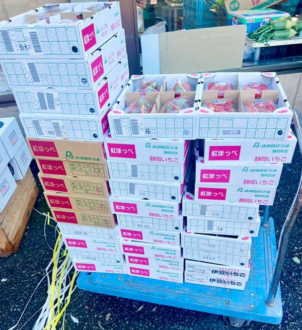 2025最後の仕入れ完了