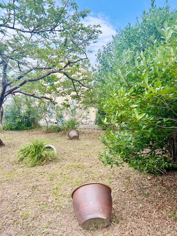 庭を散策できます。